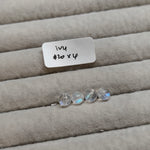 (4 Nov Beads Claim Live) ivy