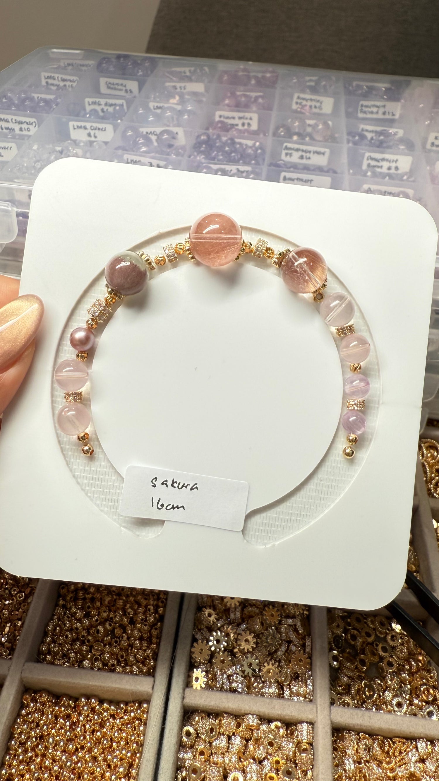 (17 May) Sakura