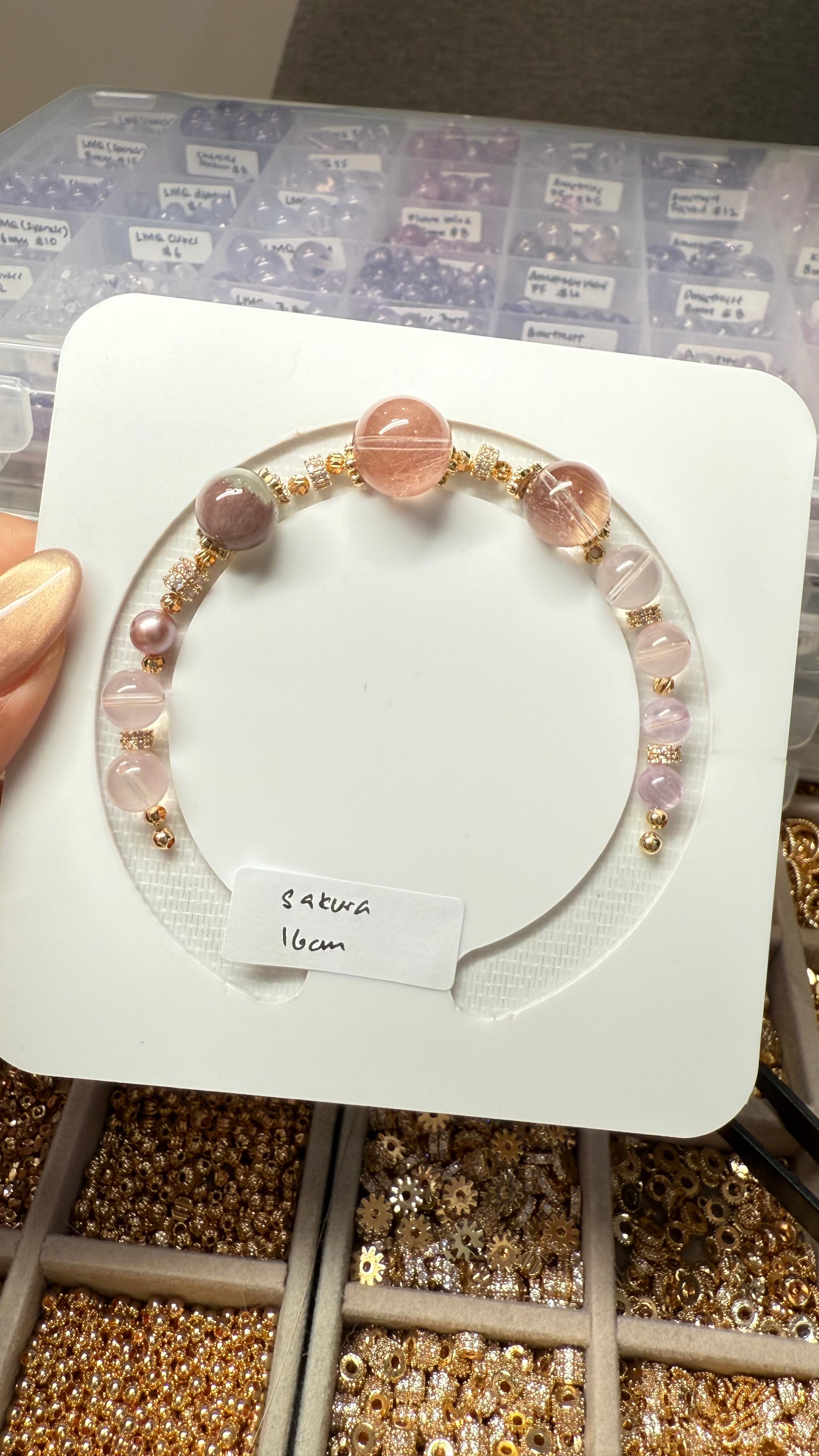 (17 May) Sakura