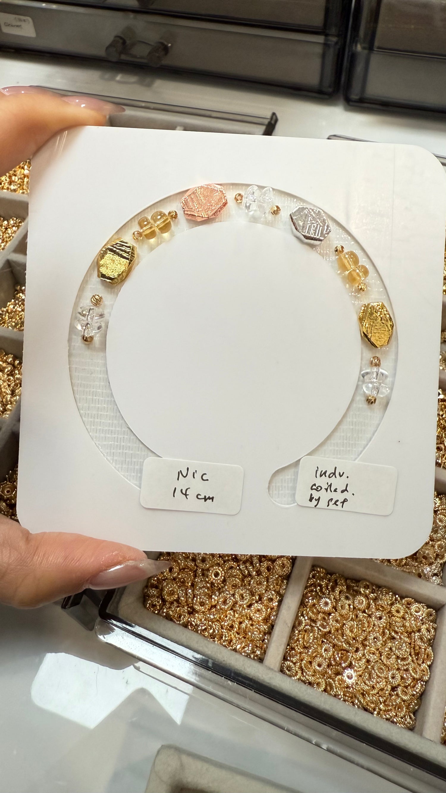 (1 Nov Customisation) Nic