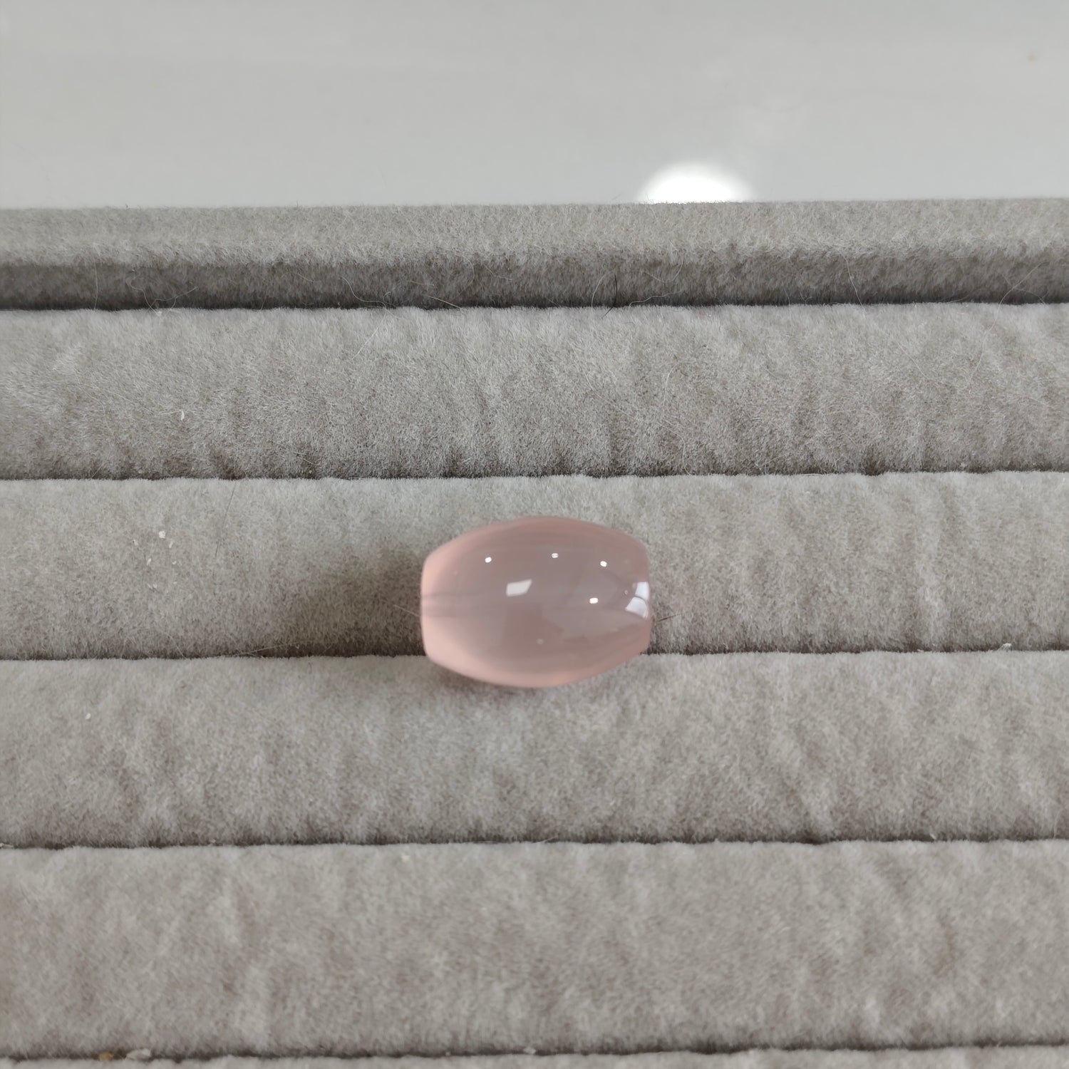 (25 Sep Beads Claim Live) Ivy